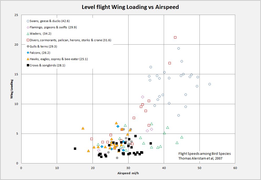 Level flight: Wingspan versus Airspeed