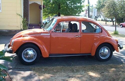 Kerry -n- Fred's bug