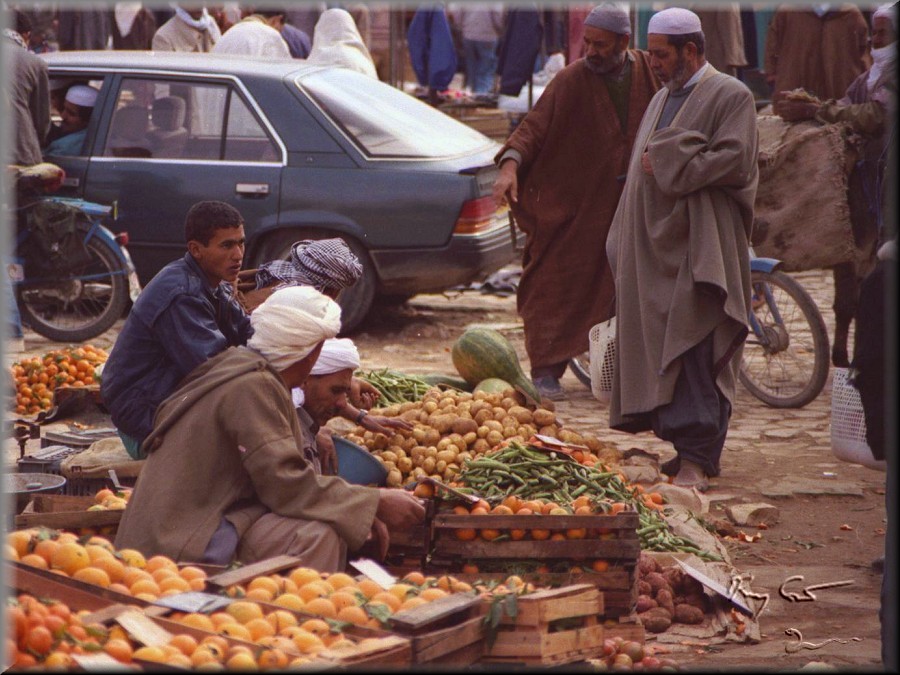 ghardaia, algeria