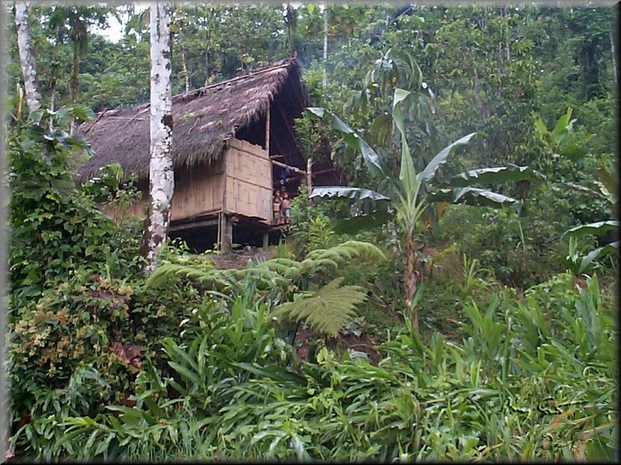 pungarayacu, ecuador