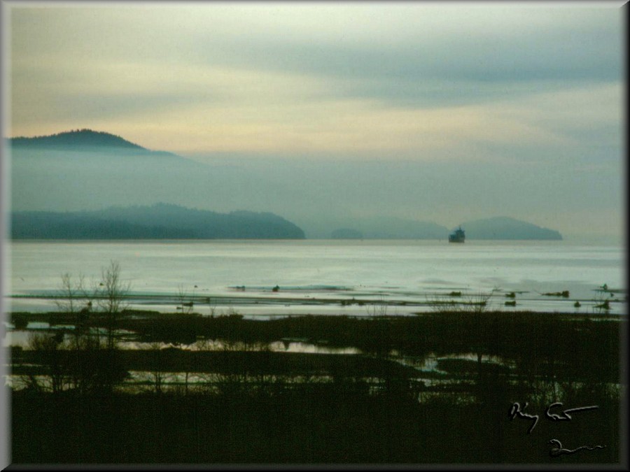 bellingham bay, washington