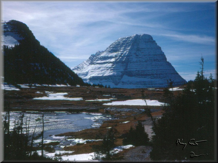 Logan Pass, Glacier National Park