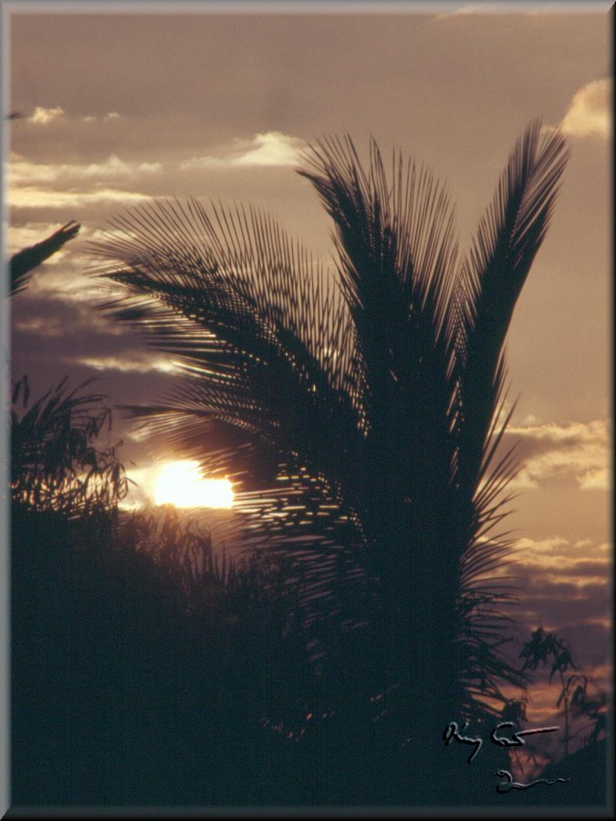 kona coast, hawaii