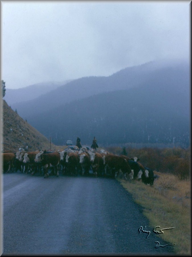 Southwestern Montana